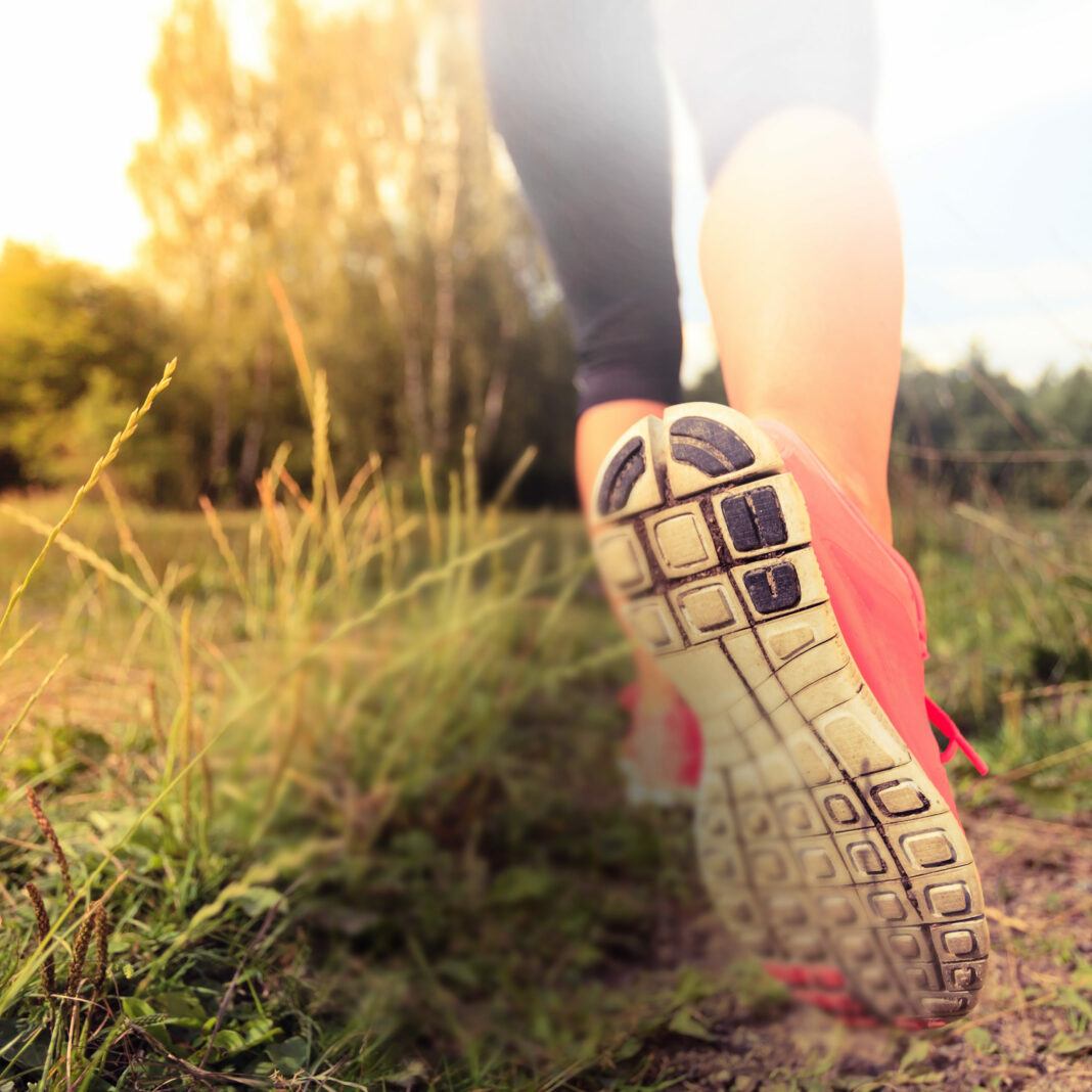 Walking or running legs in forest, adventure and exercising