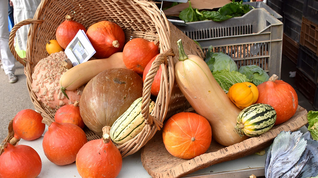 Velotte un nouveau marché bio_head