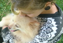 LIANES, la médiation animale à caractère social