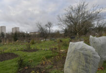 Le projet des Vaîtes : acte 2, mode d’emploi