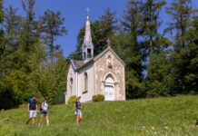 Sur les traces des chamois