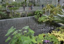 Campus Bouloie-Temis : du BIOME au cœur !