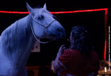 Noël en piste : magie équestre à Geneuille spectacle équestre à Geneuille