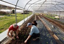 Commun Jardin prend racine à Port Douvot