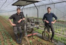 La maraîchage bio du Champ d’à côté