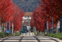 Tram : un été de travaux pour préparer le 4e terminus à Brûlard